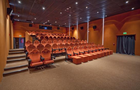 sinema salon yapımı sinema salon projesi sinema salonları tasarımı sinema salon akustik ses emici 