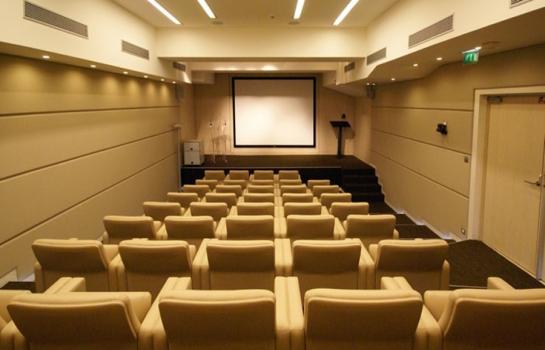 sinema salon yapımı sinema salon projesi sinema salonları tasarımı sinema salon ses sistemi sinema salon koltuğu