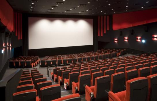 sinema salon yapımı sinema salon projesi sinema salonları tasarımı anahtar teslim sinema salon yapımı sineme salon yapan firmalar